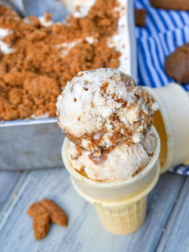 Cookie Butter No-Churn Ice Cream