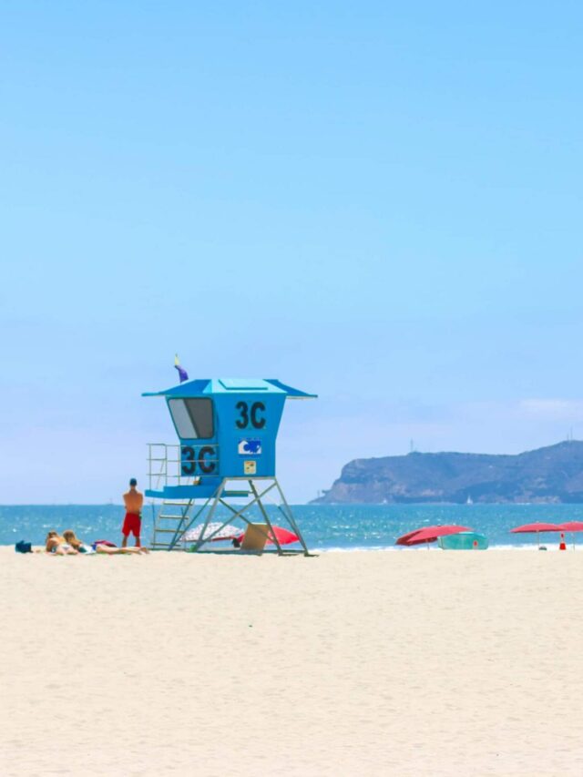 10 Best Beaches In San Diego To Visit In 2024