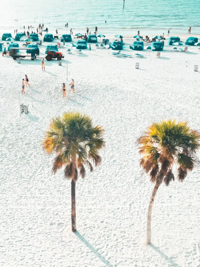 10 Best Beaches In Tampa Of 2024