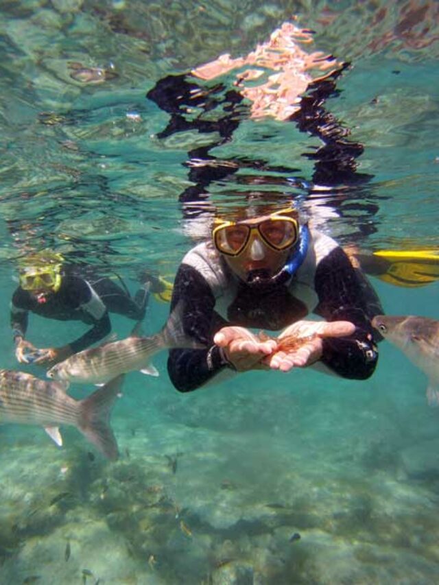 10 Best Places to Snorkel in Puerto Rico